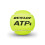 Dunlop DUNLOP ATP Extra Duty Tennis Balls (Can) 4