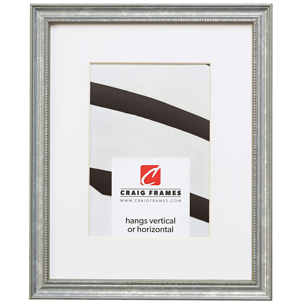 Cadre photo argent    orn    Craig Frames 314SI 18 x 24 pouces avec passe-partout pour afficher une photo 12 x 18 pouces