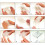 DollSafe ???fa?? ?t?ss?   e?? ???t? ?   f???s?? ??a ?????e? ?a? F?????e? ???s?? 11-12,5 ??ts?? 10 e?. ? x 6,7 e?. ? x 4,7 e?. ? S?s?e?as?a t?? 3 3