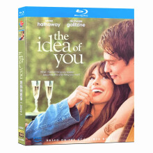 The Idea of You (2024) Blu-ray 1080P BD