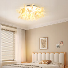 (Dimmable) 53cm Dia dandelion-shaped Ceiling Light
