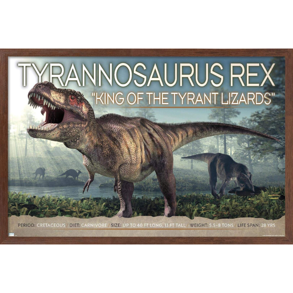 Affiche murale Trends International Dinosaures - T-Rex 14,725"""""""" x 22,375"""""""" Version encadr   e en acajou