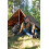Stansport Tarp Resistente 12' x 16' - Castanho - 2 Pacotes 4