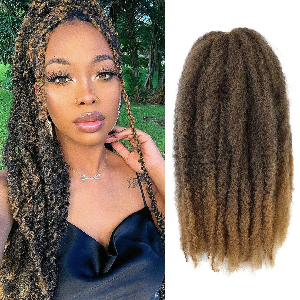 Baisai Marley Hair 3 Packs 18 Inch Long Afro Kinky Marley Twist Braiding Hair Natural Synthetic Marley Hair For Twists Crochet Hair Extension 100G/Pack(T27#)
