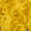 JAM PAPER Durable Rubber Bands - Size 64 - Yellow Multi-Purpose Rubberbands - 100/Pack 5