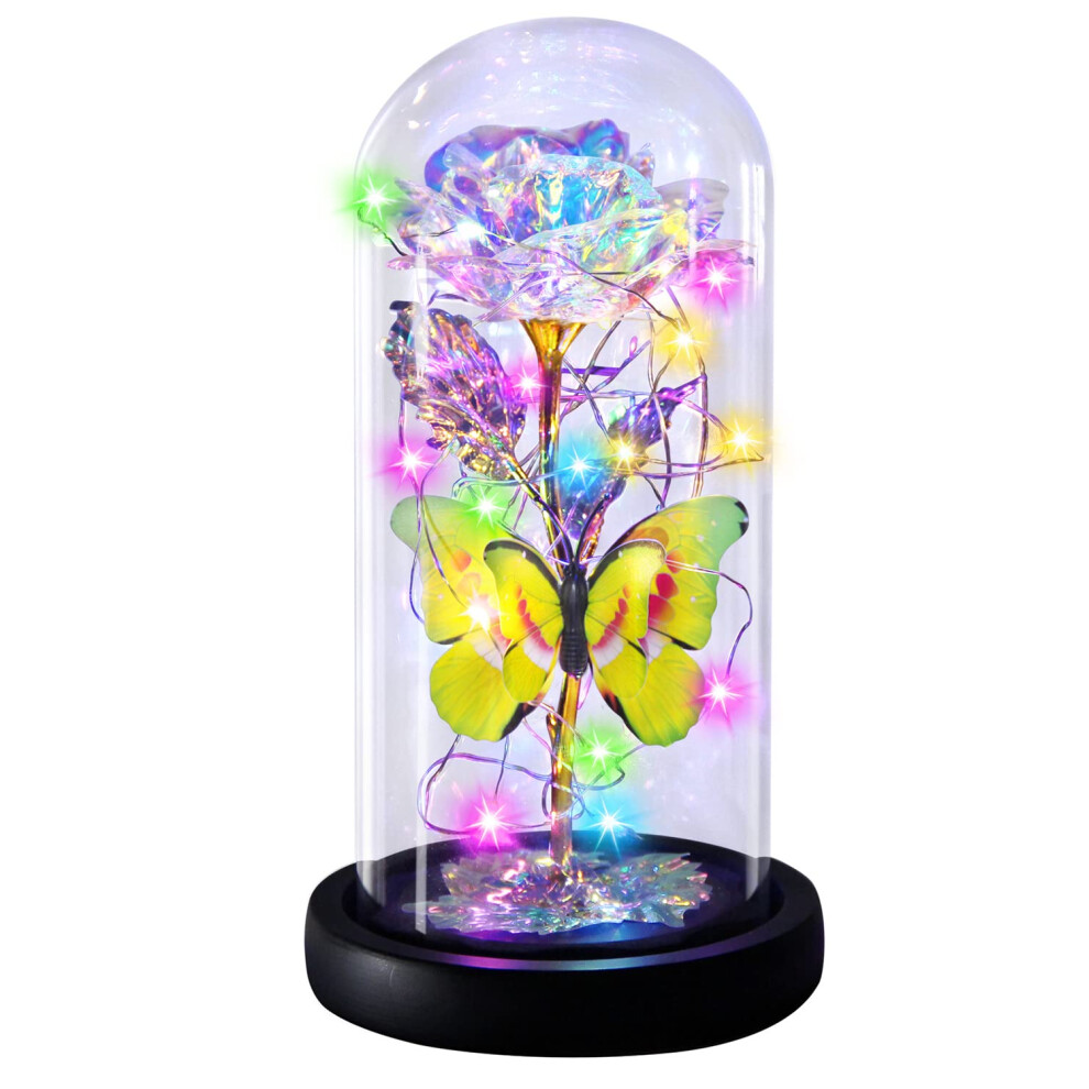 Rainbow Rose Flower Gifts for Women - Birthday Gifts for Mom - Love Gifts for Her - Light Up Butterfly & Rose Flower in Glass Dome - Womens Gifts-image-OPC-PFC5F27-NEW
