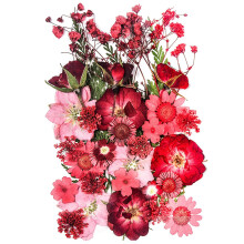15 tipuri 37 pcs flori presate uscate ro?ii pentru mucegaiuri de ra?ina Youthbro Flori reale presate naturale pentru me?te?uguri de arta DIY Lum