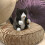 Folkmanis Tuxedo Kitten Handpop Zwart; Wit 5