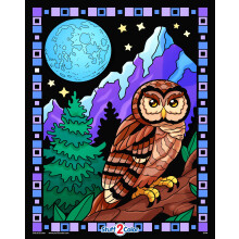 Midnight Owl Velvet Coloring Poster - All Ages Coloring for Kids Toddlers Teens and Adults (Great for Arts and Crafts Coloring Time After School