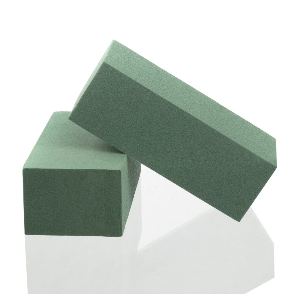 Royal Imports Floral Foam Blocks Wet Dry for Fresh or Artificial Flower Arrangements  Florist Styrafoam Bricks  2 Pcs  Green