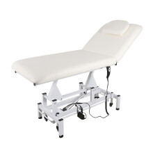 Electric Massage Table with Wheel Medical Facial Massage Bed Couch