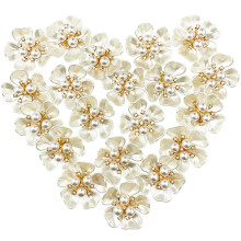 BETITETO 20 PCS Pearl Pearl Shiestone Defrumcari Flori Flatback Butoane Rhinestone Farmece pentru decora?iuni pentru pantofi Bijuterii Fabricarea