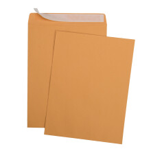 9 x 12 Sjlvfrsljning Brown Kraft Catalog Mailing -kuvert - 28lb - 250 rkning 9x12 tum (38302)