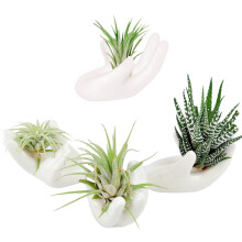 4 Pack Air Plant Holders Unique Ceramic Mini Airplants Stand Tillandsia Succulent Display Container Pot Cute Home Decor for Desk Table Shelf Wind