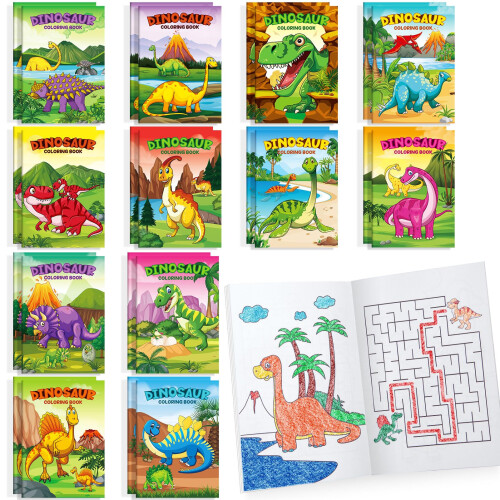 24 Pcs Din