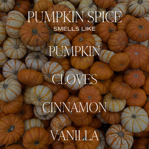 Sweet Water Decor Pumpkin Spice Reed Diffuser Set - Pumpkin Cloves Cinnamon and Vanilla Fall Scented Diffusers - Scent Diffusers for Home Lon 2