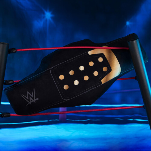???? Bleacher Creatures WWE Universal Championship 24"""" Bleacher Buddy - ?a?a?? ???t???? ?a????d? 1