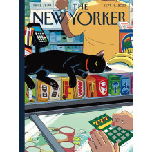 New York Puzzle Company - New Yorker Bodega Cat - 1000 Piece Jigsaw Puzzle for Family Game Nights by R. Kikuo Johnson