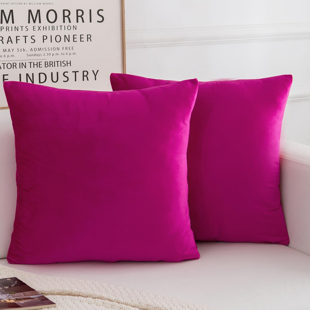 HERAYLI Lot de 2 housses de coussin d   coratives en velours doux, carr   es, pour salon, canap   , lit, rose vif, 45,7 x 45,7 cm