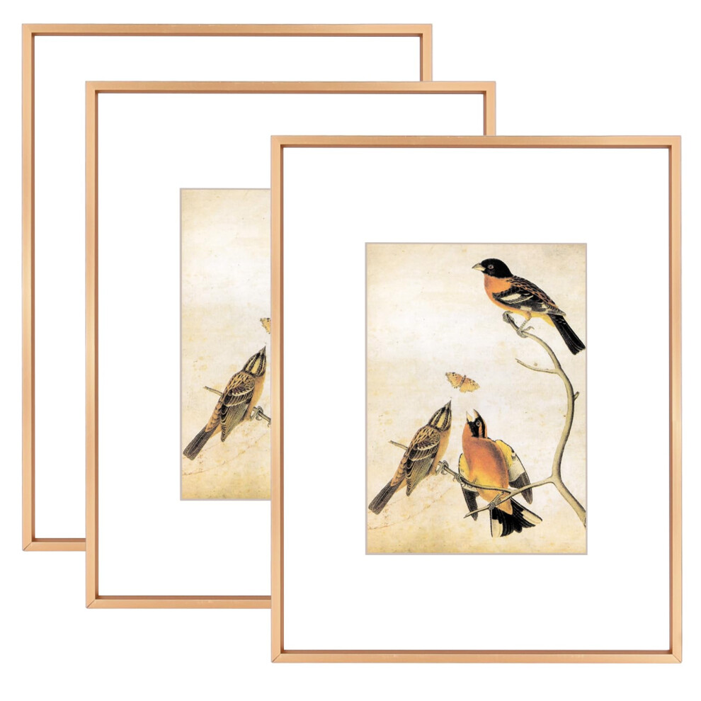 Set Di 3 Cornici Per Foto Bkabot 8,5X11 In Metallo Dorato Con Vetro Hd, Adatte A 5X7 Con Passepartout O 8,5X11 Senza Passepartout, Da Appendere A-image