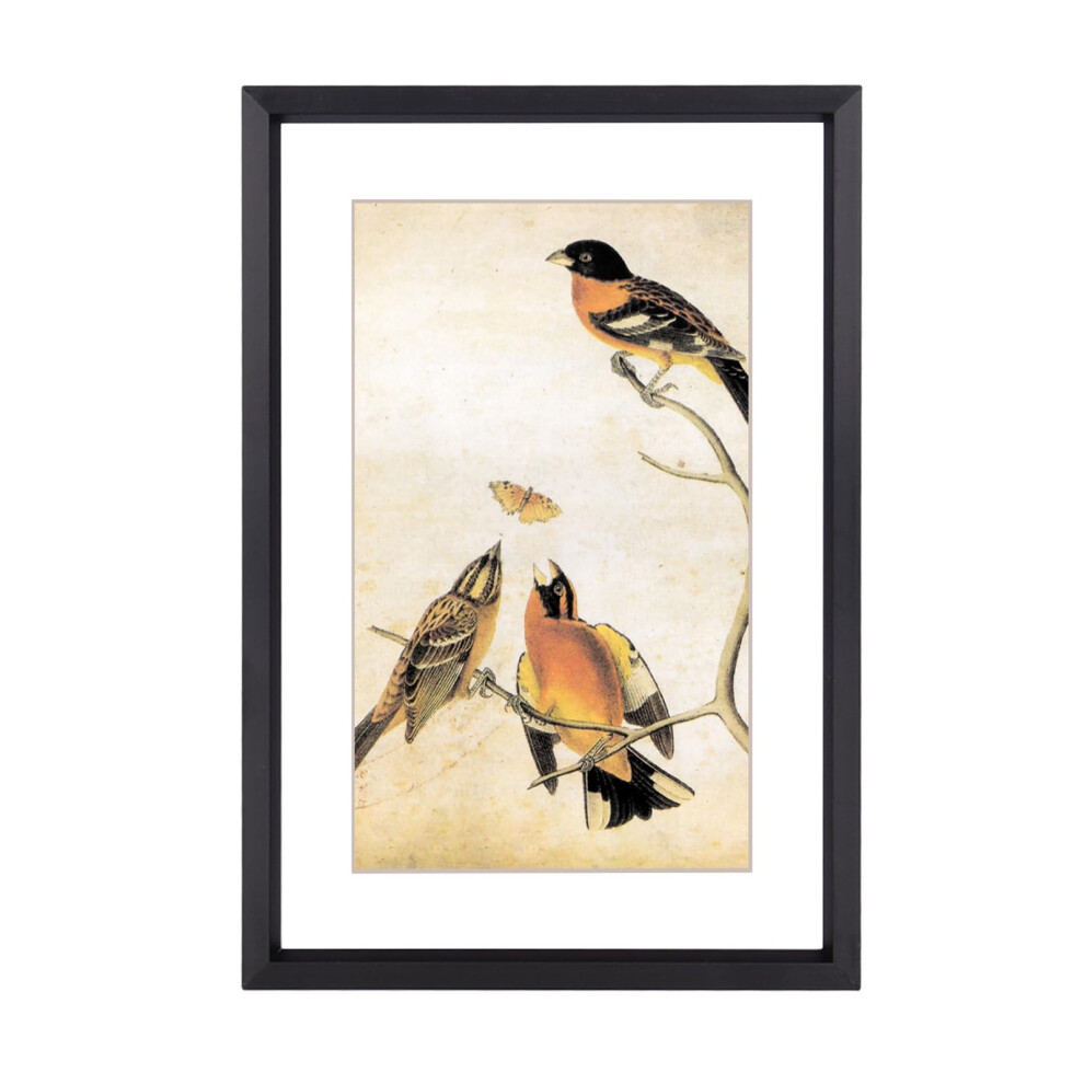 Bkabot 5X7 Rama Obrazkowa Black Metal Ramki Ze Szklem Hd Pasuje 4X6 Z Mata Lub 5 X 7 Bez Wyswietlacza Maty Dla Sciany I Tabeli 1 Paczka-image