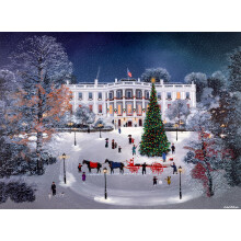 Buffalo Games - Michel Delacroix - The White House in The Snow - 1000 Piece Jigsaw Puzzle for Adults -Challenging Puzzle Perfect for Game Nights