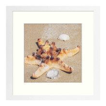 golden State Art  12x12 Frame with Mat  Displays 8x8 Square Picture or 12x12 gallery Wall Frame for 30x30 cm Diamond Paintings Prints Photos (White  1