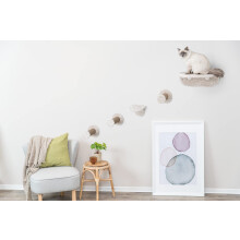 TRIXIE Lookout Wandhalterung Cat Lounge 5-teiliges Set 2 Plattformen und 3 Stufen Kratzbaum braun