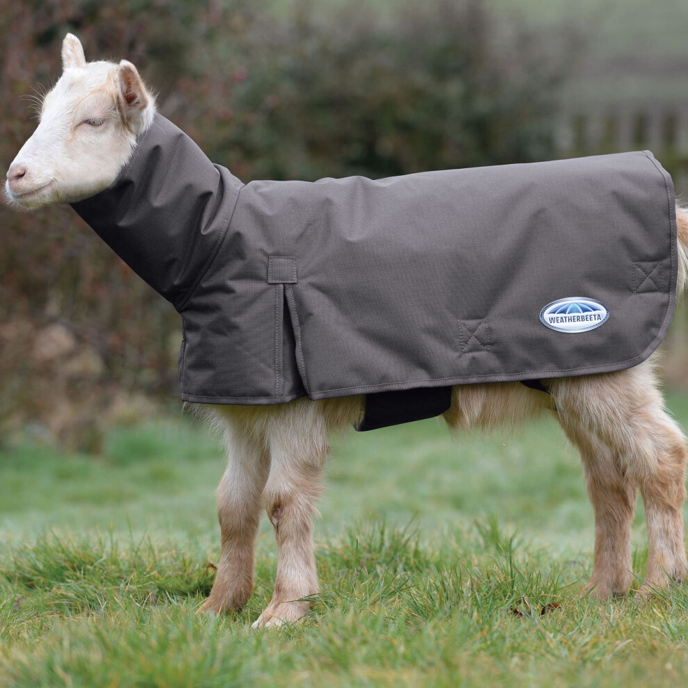 Weatherbeeta Goat Coat with Neck  Grey  Medium