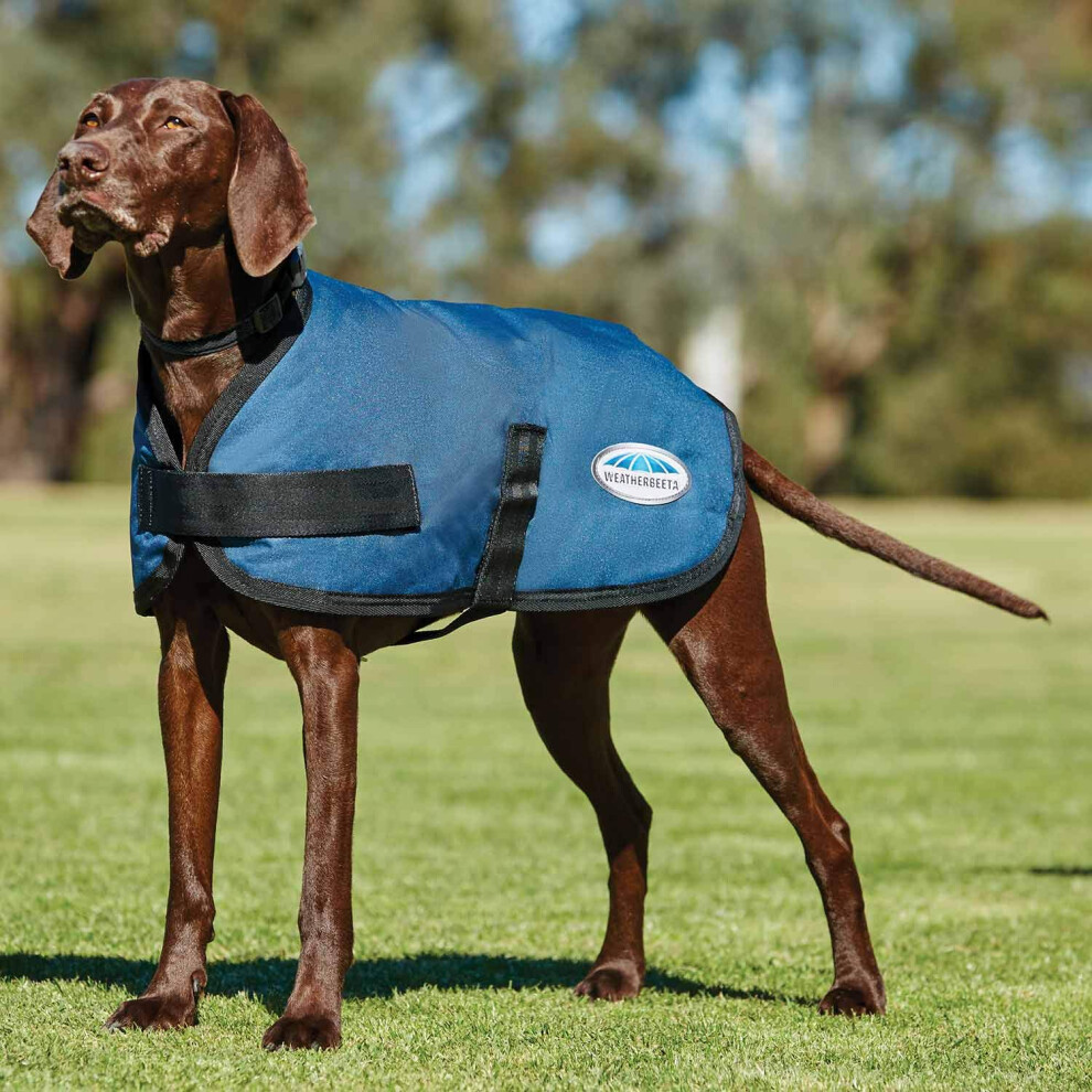 Photos - Dog Clothing WeatherBeeta ComFiTec Classic Dog Coat Dark Blue 12 Blue 1001617002 