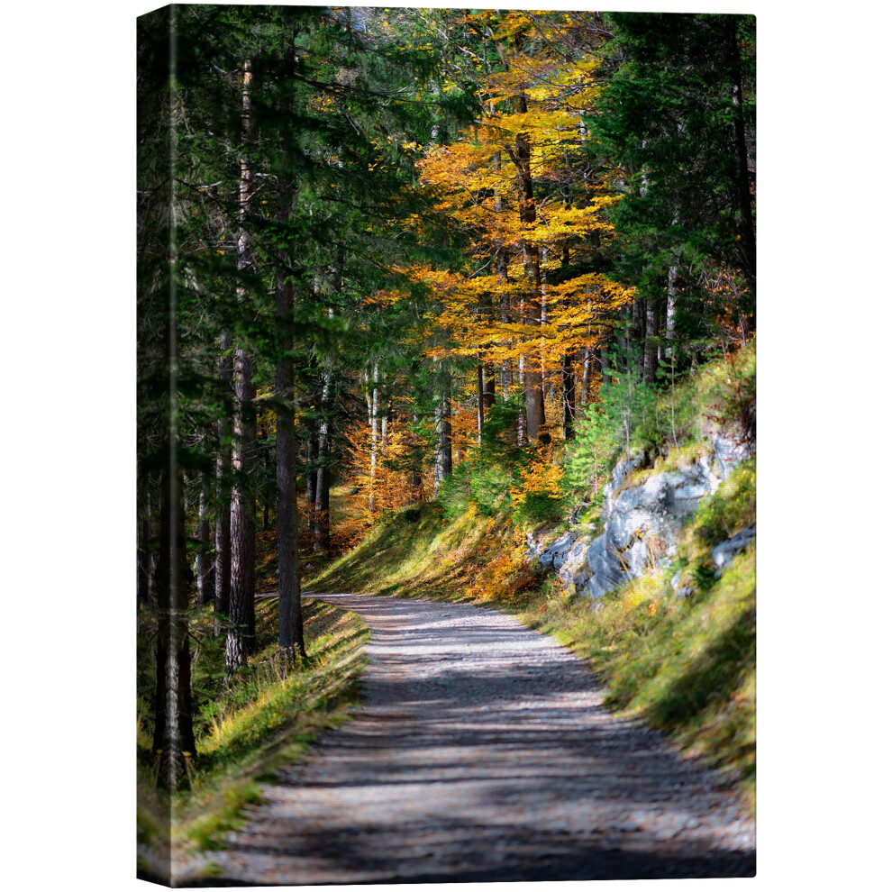 Toile murale SIGNWIN, chemin forestier vert, photographie de nature, for   t, r   alisme, rustique, pittoresque, spectaculaire, multicolore, cool pou