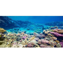 Awert 30x18 inches Aquarium Baggrund Coral Reef Tropical Fish Undersea Fish Tank Baggrund Polyester baggrund