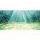 AWERT 30x12 ??tse? F??t? e??d?e??? F?sa??de? ?d?????? f?t?? ?p??????? f??t? e??d?e??? ????? ??ea??? 1