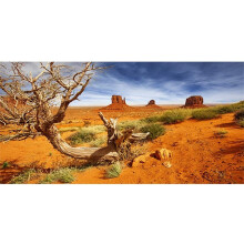 AWERT 72 x 24 Zoll Reptilien-Lebensraum-Hintergrund, orangefarbener Wsten-Terrarium-Hintergrund, langlebiger Polyester-Hintergrund