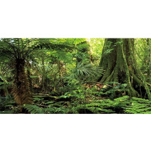 Awert 36x18 inches skov terrarium baggrund sten gr?n enor