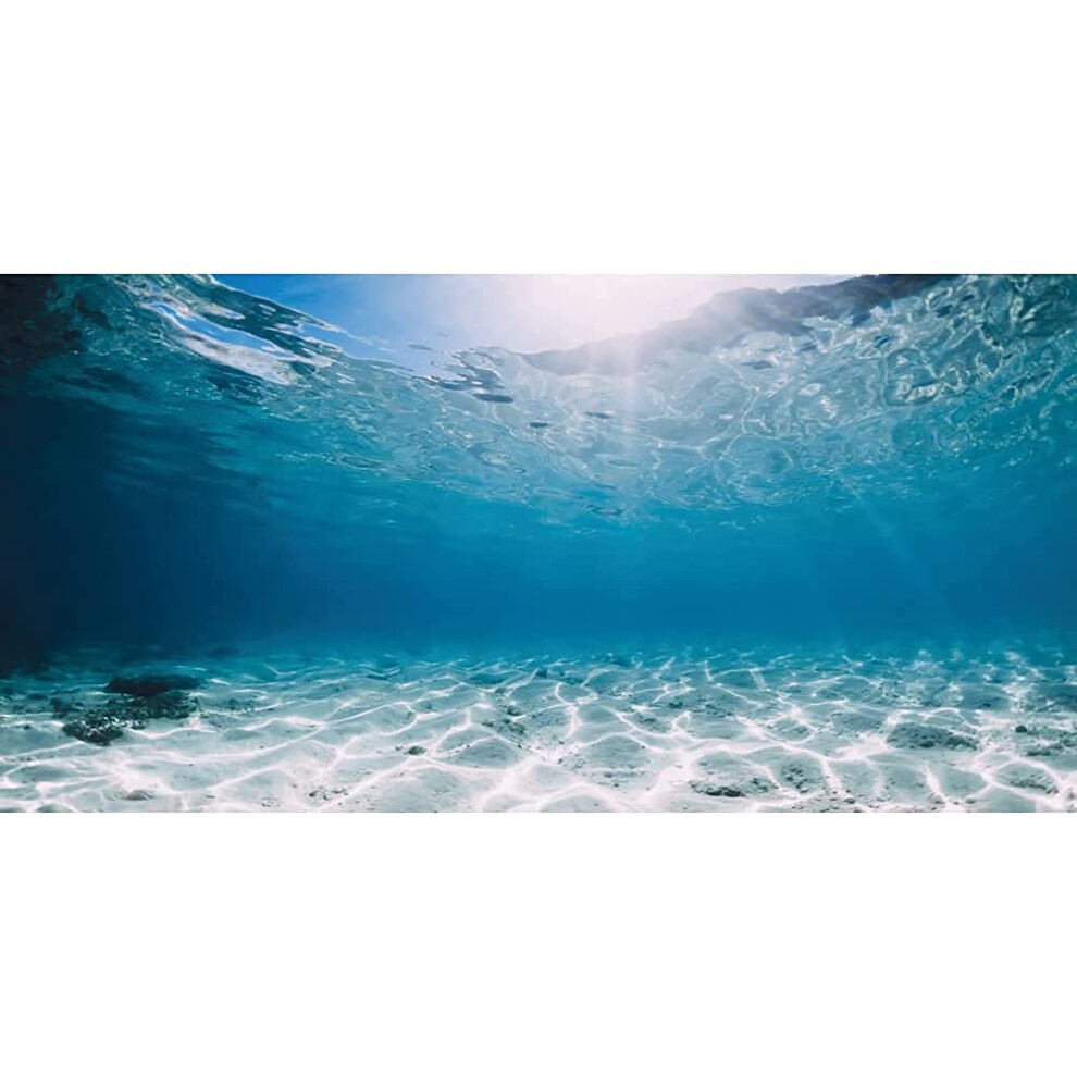 AWERT 72x18 pouces Vinyle Sous-marin Fond d'aquarium Fond de r   servoir tropical