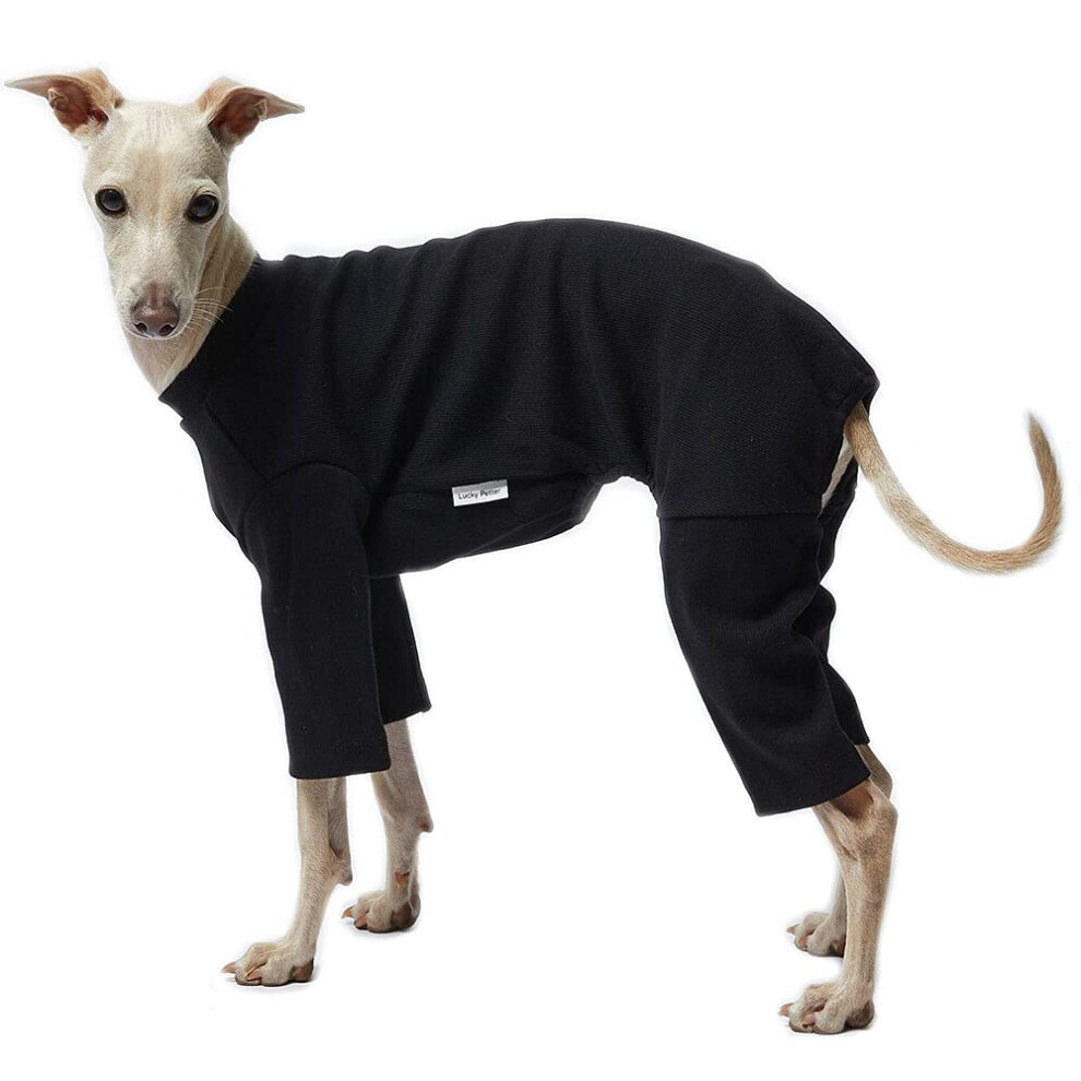 Pyjama pour chien Lucky Petter pour petit chien, combinaison basique, pyjama pour chien, chemise extensible pour chien (2XL, noir basique)