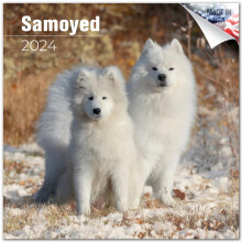 2023 2024 Samoyed Calendar - Dog Breed Monthly Wall Calendar - 12 x 24 Open - Thick No-Bleed Paper - Giftable - Academic Teacher's Planner Calend
