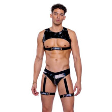 6507 - Pride Cropped Vinyl Top