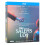 Salem's Lot (2024) Blu-ray 1080P BD 1