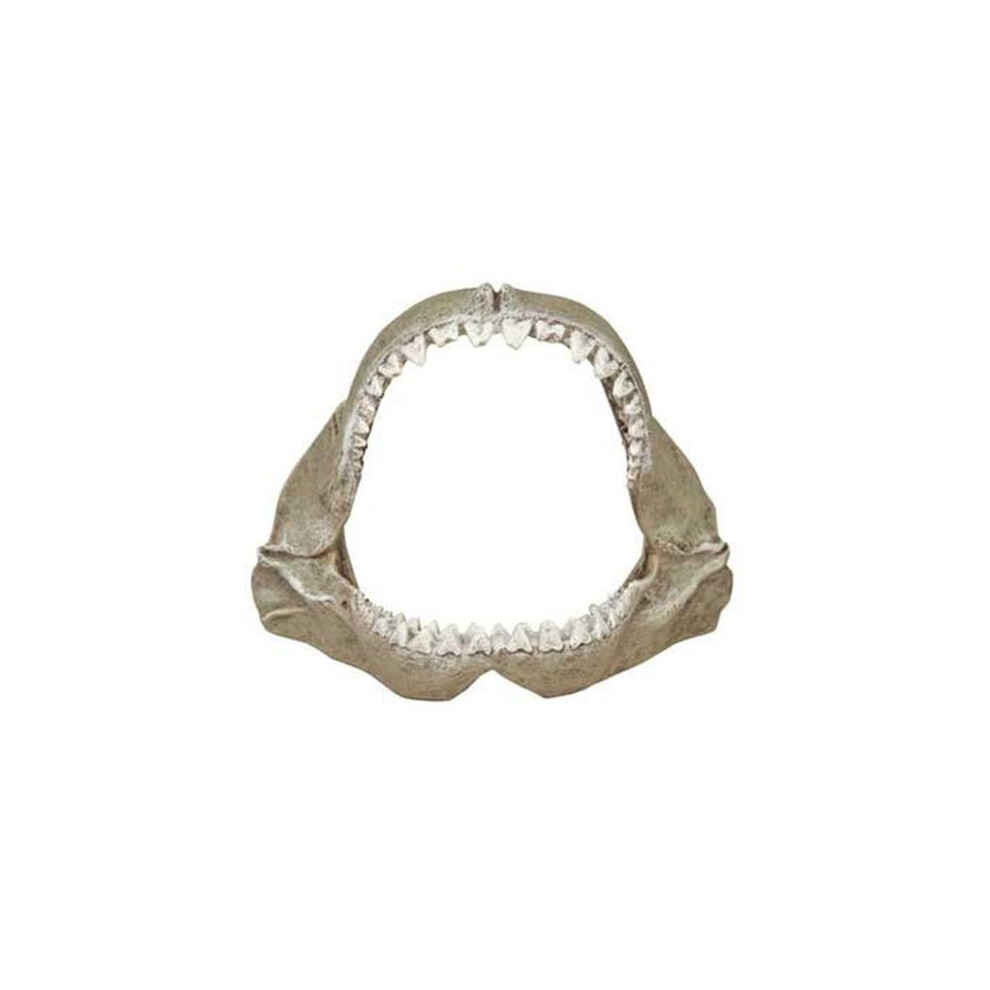 Entornos Ex Ticos: Mand Bulas De Gran Tibur N Blanco Peque As De 6 X 3-1/2 X 5 Pulgadas-image