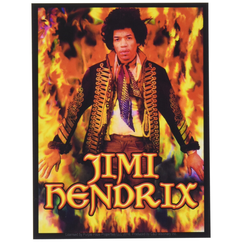 Autocollant C&D Visionary S-8081 Jimi Hendrix-image