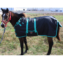 CHALLENGER 56"""" 1200D Coperta invernale in miniatura per asino, pony, cavallo, puledro, verde acqua 51945