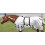 CHALLENGER 72"""" Horse Mesh Drap d'   t    l   ger Spring Airflow Blanc 73408B 2