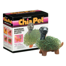 Chia Pet Dinosaur Collectible With Seed Pack Decorative Pottery Planter Ltt att gra och kul att vxa nyhet Present perfekt fr alla tillfllen