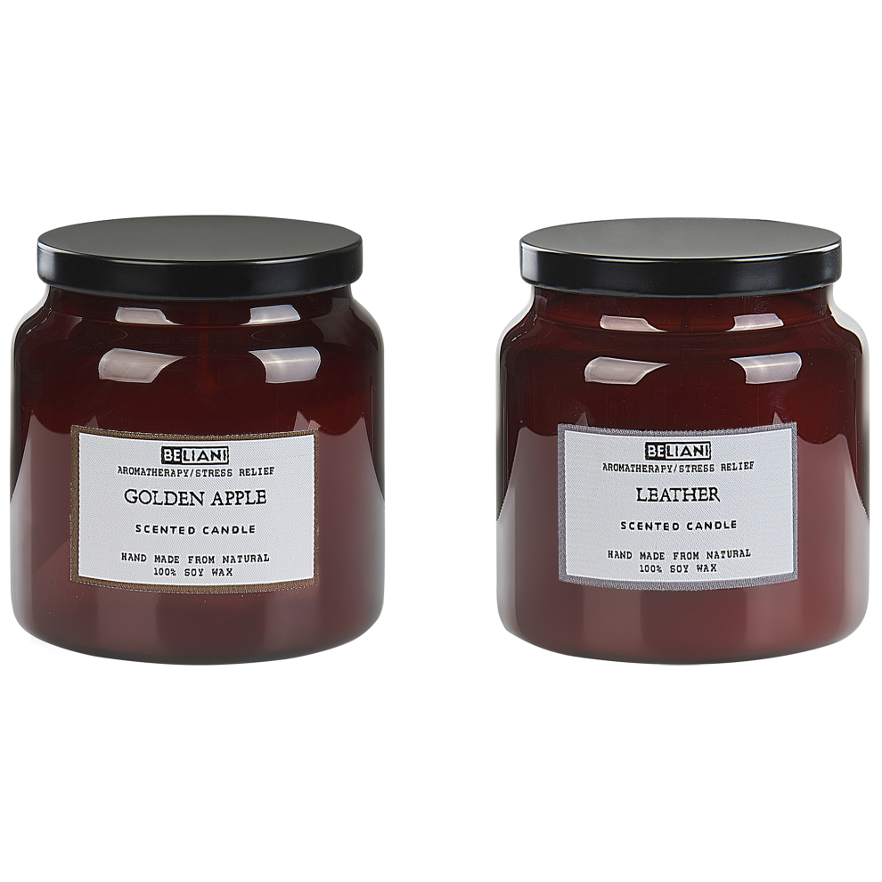 Set of 2 Scented Candles ABSOLUTE ALCHEMY Soy Wax Fruity Notes Fresh Notes