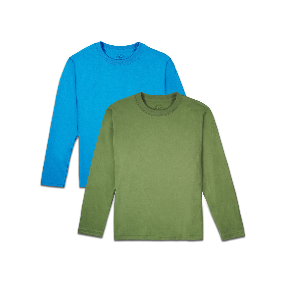 Fruit of the Loom boys Solid Multi-color Soft Long Sleeve T-shirts  2 Pack T Shirt  Parrot Blue Heather Chive  XX-Large US
