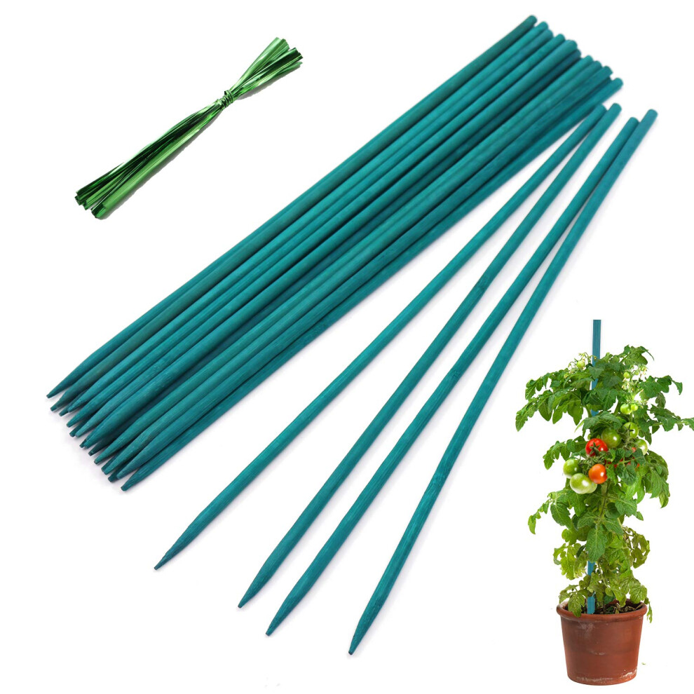 Garden Wood Plant Stakes Green Bamboo Sticks HAINANSTRY Sturdy Floral Plant Support Stakes Wooden Wooden Sign Posting Garden Sticks(25 Pack 15 Inches)-image-OPC-PFKZWWT-NEW