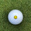 Golfdotz - Μάρκες Μπάλας Γκολφ, Μοναδικά Σφραγίδια και Αυτοκόλλητα 3