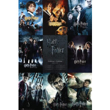 Harry Potter GB eye Collection 61 x 91.5cm Maxi Poster